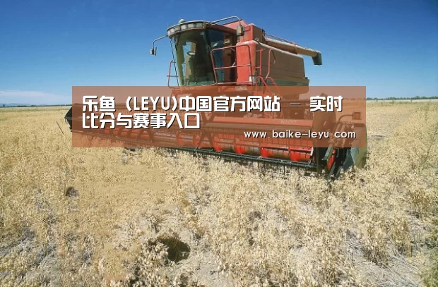 产品名称三